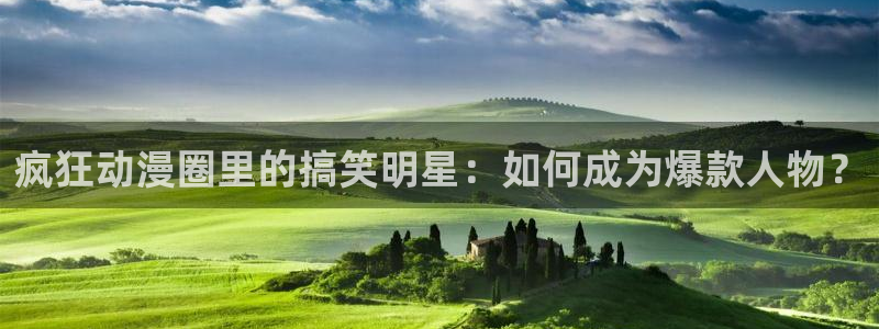 78动漫软件：疯狂动漫圈里的搞笑明星：如何成为爆款人物？